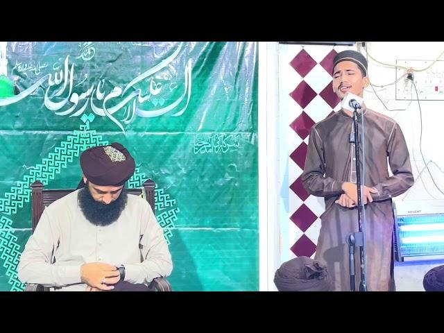 Complete Most beautiful voice tilawat e Quran |Rabi ul Awal 2024 | Masjid noor #@qasimbutt8832