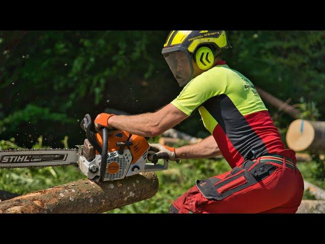 FORST TECHNIK MAIER/ Holz fliegen