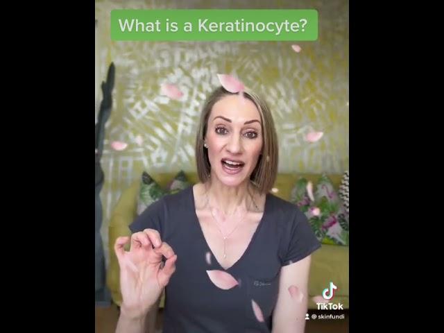 Keratinocytes explained. #skincells #skin #skinprotection #skininformation