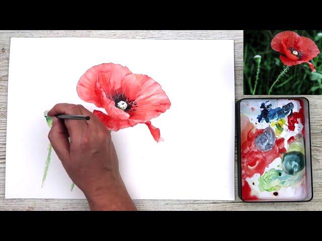 Simple Poppy Flower Painting Watercolour Tutorial