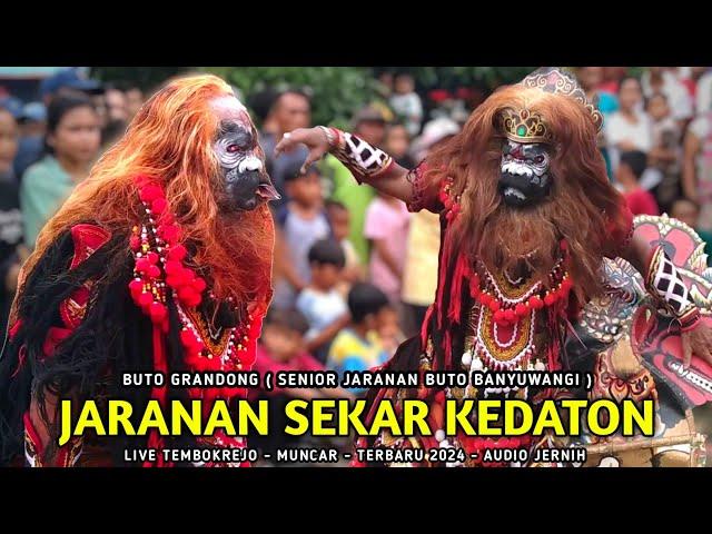 BUTO SENIOR GRANDONG NDADI - JARANAN BUTO SEKAR KEDATON AUDIO JERNIH terbaru 2024