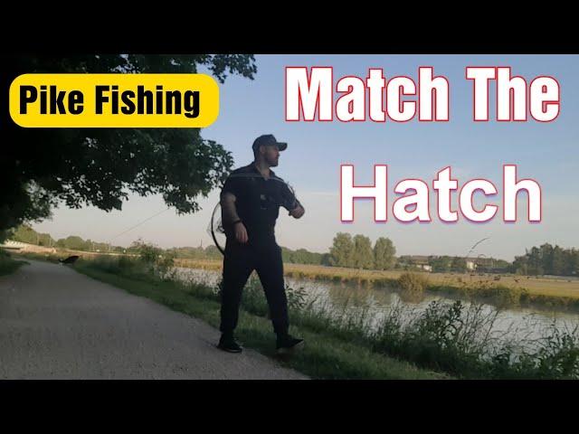 lure fishing pike - match the hatch gets results!