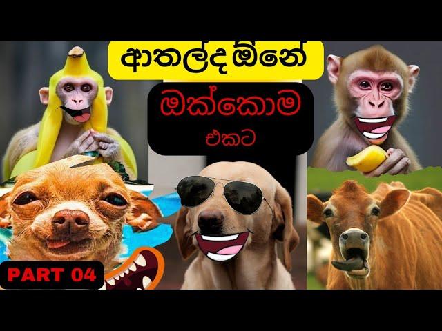 කෑවද බන් ?  | Ado Thota Puluwan nam mata Kochchara puluawanda methana | Animal athal katha