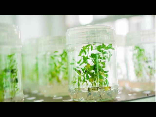 Journey into Biotechnology: Welcome to the Science of Tomorrow (3 Minutes)