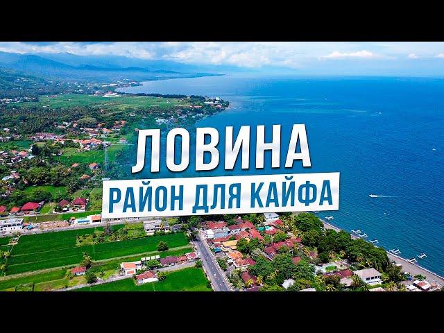 Районы Бали. Четкий обзор Ловины.