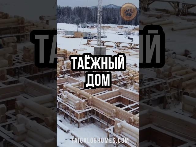 Загляните в артель "Таёжный   дом":   здесь строят дома из дерева