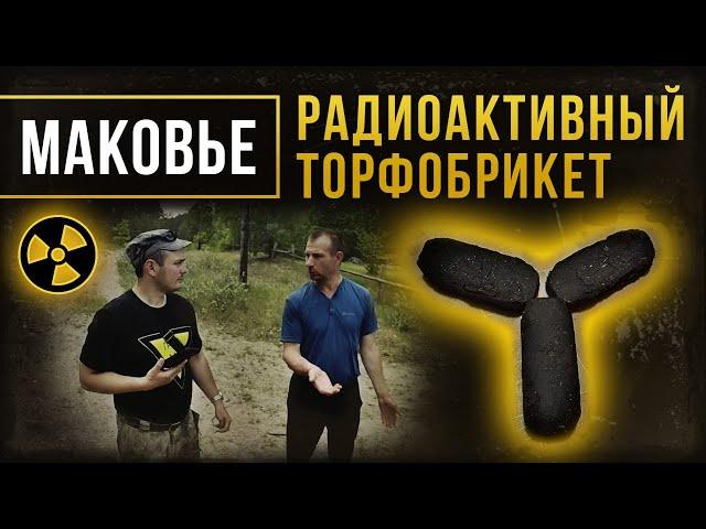  Деревня Королёвка (Маковье). Радиоактивный торфобрикет.