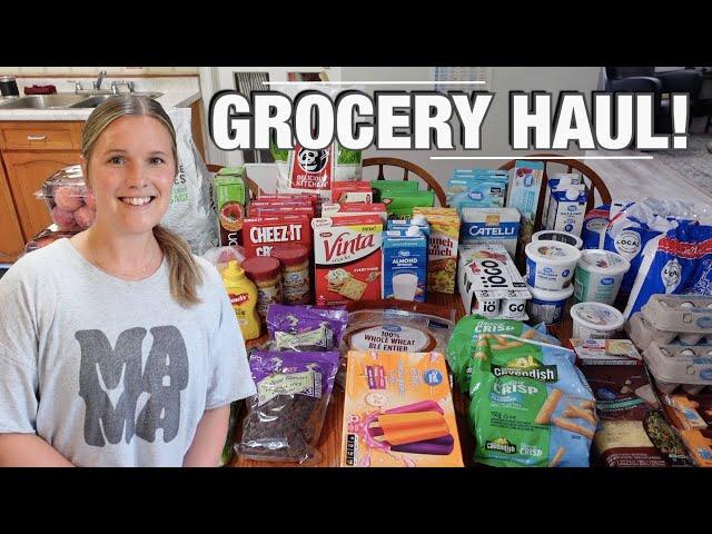 LARGE FAMILY GROCERY HAUL! | WALMART FINDS