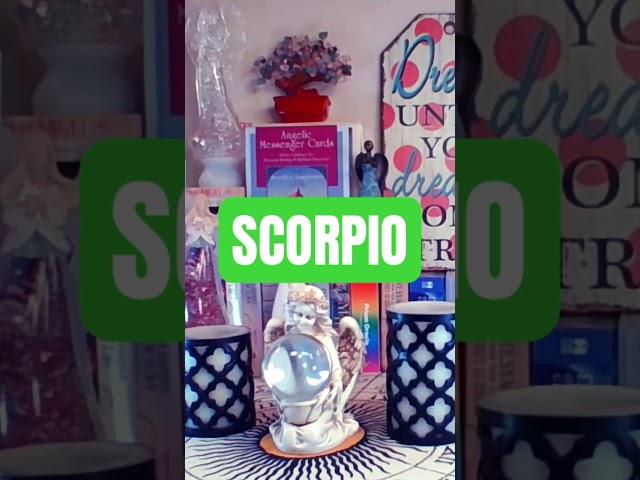 SCORPIO - YOUR ANGEL BRINGS FORTH A MESSAGE THEY WANT YOU TO KNOW! DECEMBER 2024 #shorts