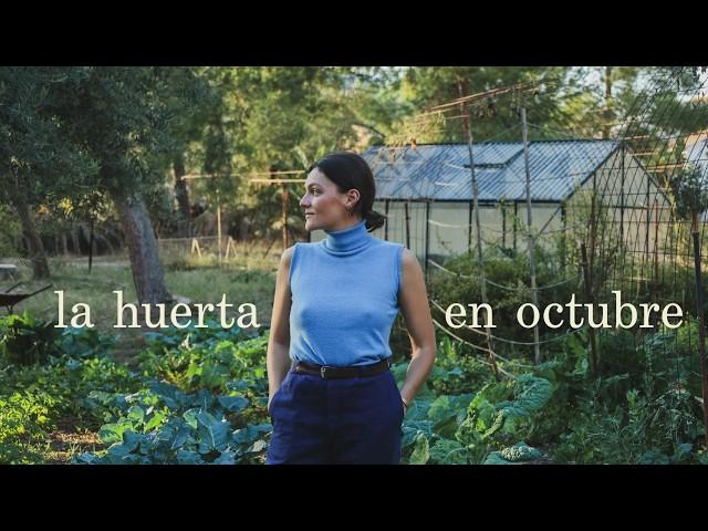 El Huerto Familiar en Octubre - Qué Plantar en Otoño -  Plagas, Consejos, Trucos y Experimentos