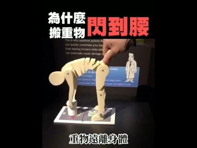 為什麼搬重物閃到腰 要用蹲下起立大腿肌提重物