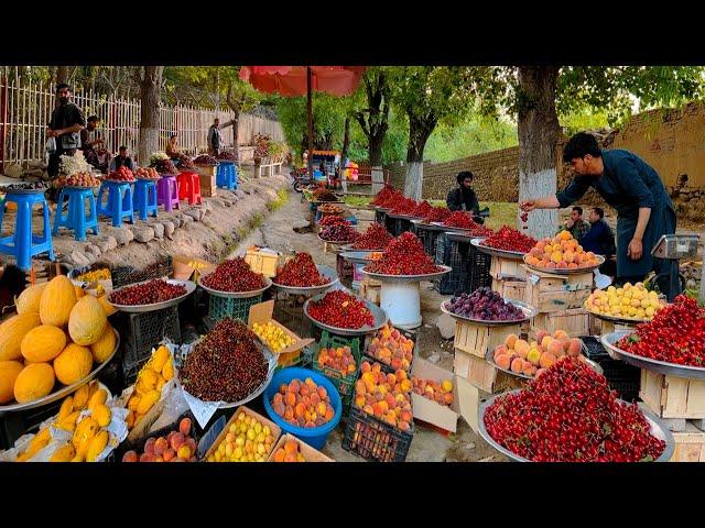 Afghan fresh fruits | Kabul Paghman | افغان تازه میوې