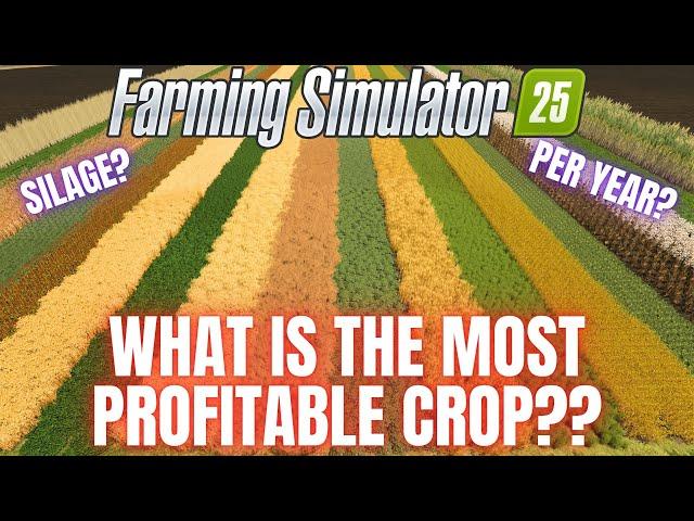 WHAT IS THE MOST PROFITABLE CROP?? - Farming Simulator 25