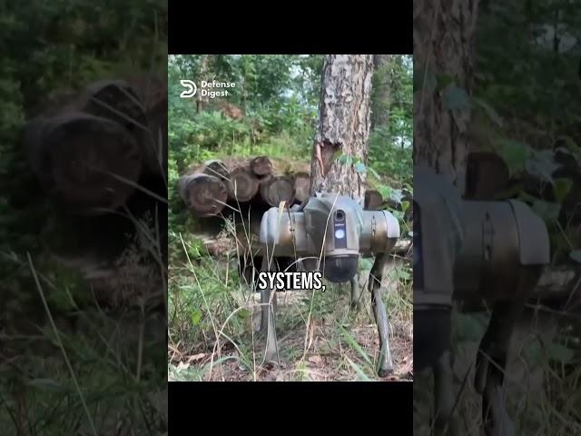 Ukraine Deploys Robotic Dogs on Battlefield!