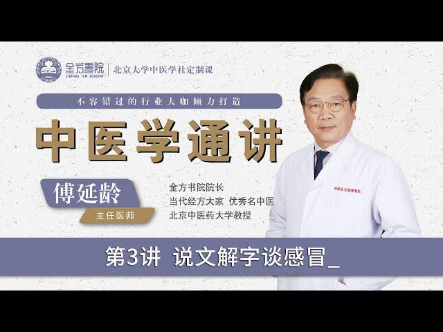 第3讲_说文解字谈感冒_金方书院傅延龄教授主讲《中医学通讲》#中医学通讲 #傅延龄 #感冒