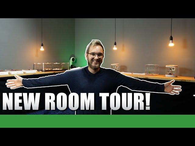 NEW ANT ROOM TOUR!  | Ant Holleufer