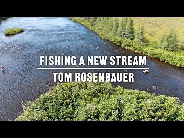 Tom's Tips - Fishing a New Stream