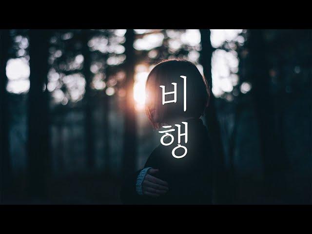 비행 (飞, 페이) - 王恩信Est, 二胖u / 가사해석, 번역, 병음, 발음 [중국노래 / 틱톡]