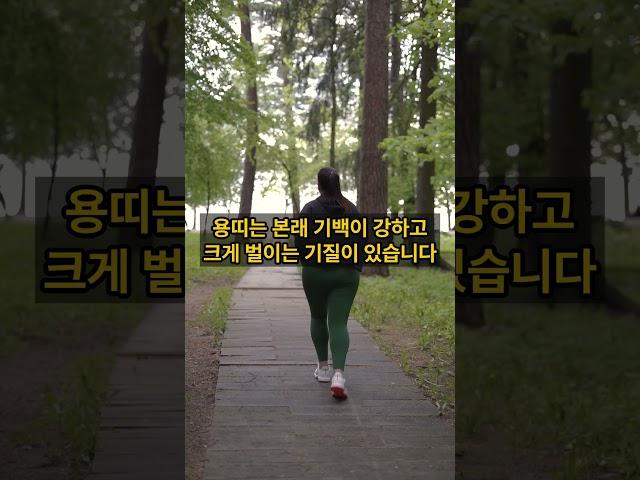 [용띠운세] 용띠 2025년 하반기 재물궁합 “놓치면 후회! 2025년 하반기 용띠 재물운 대폭발 예고”