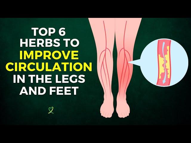 Top 6 Herbs To Improve Circulation In The Legs And Feet