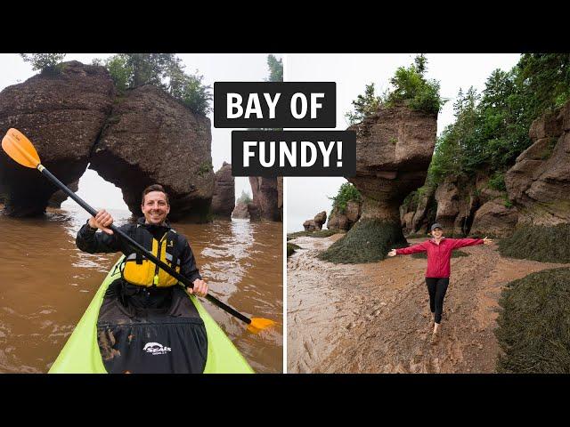 Experiencing the HIGHEST tides in the WORLD at the Bay of Fundy (Hopewell Rocks)