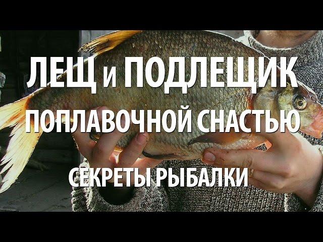 КАК ЛОВИТЬ ЛЕЩА на ПОПЛАВОЧНУЮ СНАСТЬ с БЕРЕГА. СЕКРЕТЫ РЫБАЛКИ на ЛЕЩА и ПОДЛЕЩИКА