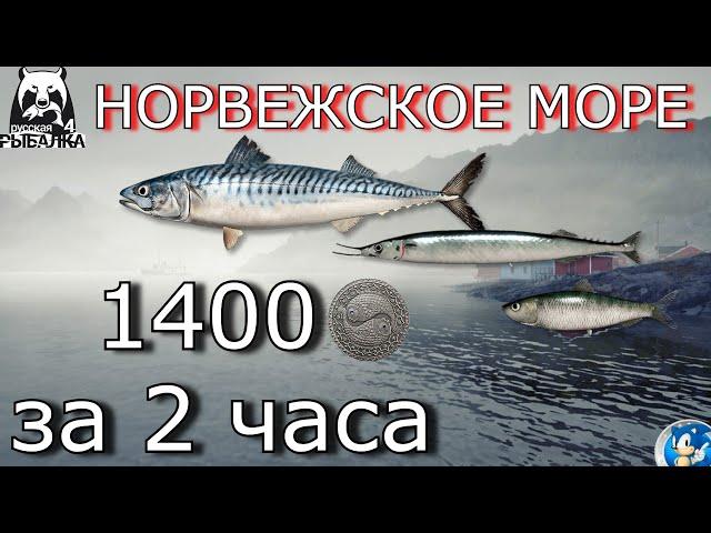 НОРВЕЖСКОЕ МОРЕФАРМ НА МЕЛКОЙ РЫБЕРусская Рыбалка 4(РР4)