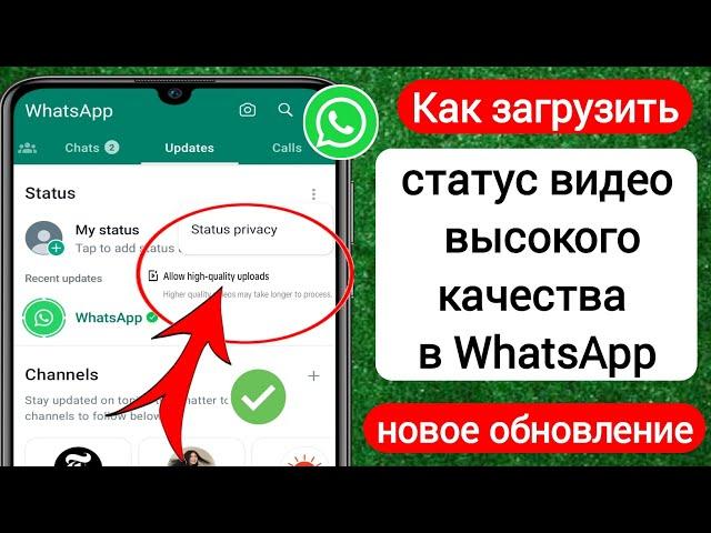 Как загрузить видео высокого качества в WhatsApp | Статус HD-видео в WhatsApp