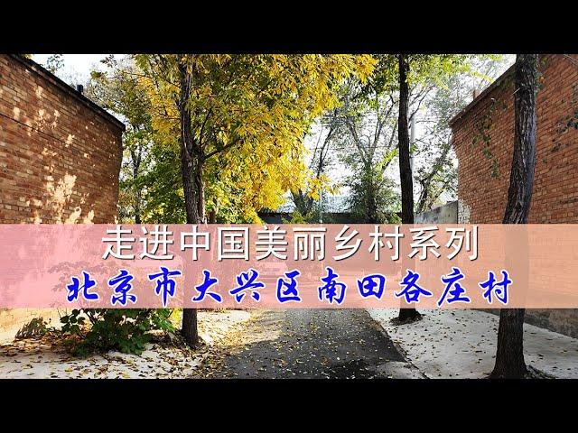 Into the beautiful countryside series走进美丽乡村系列