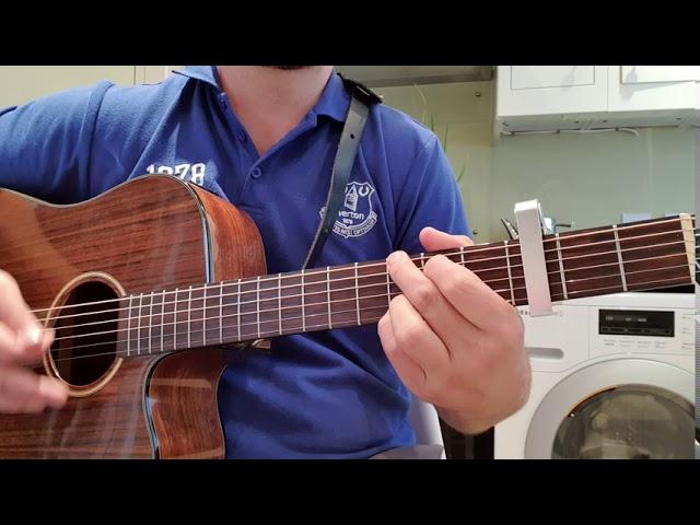 How to play RIDE ON by Christy Moore and Many others on Guitsr (Strum version)