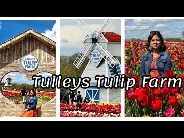 A Day Trip To Tulleys Tulip Farm Crawley England.