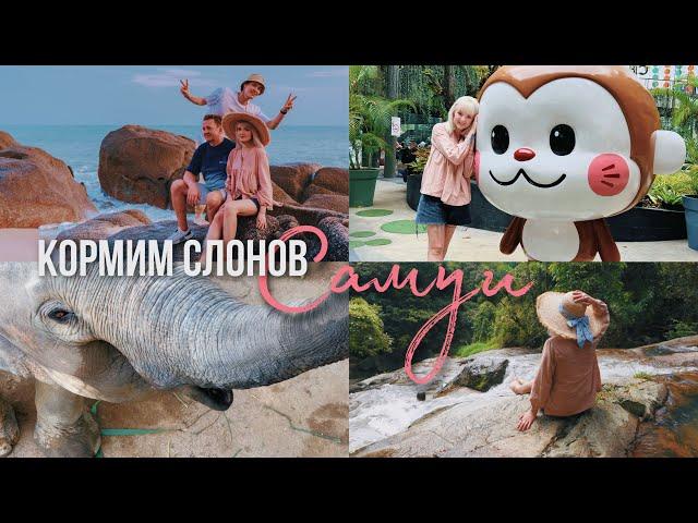 Самуи  Кормим Слонов  Водопады / Шоппинг на Острове /ДУРИАНЫ НА ДОРОГЕ?!