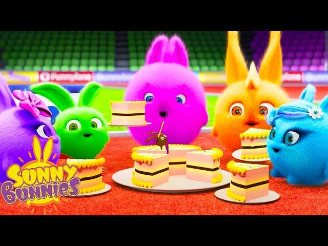 SUNNY BUNNIES - Cake Celebration | Season 1 | Cartoons for Children