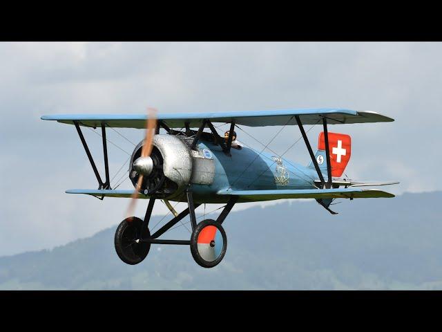 Siemens-Schuckert D.III 1918 scale 1/3 Rainer Mattle