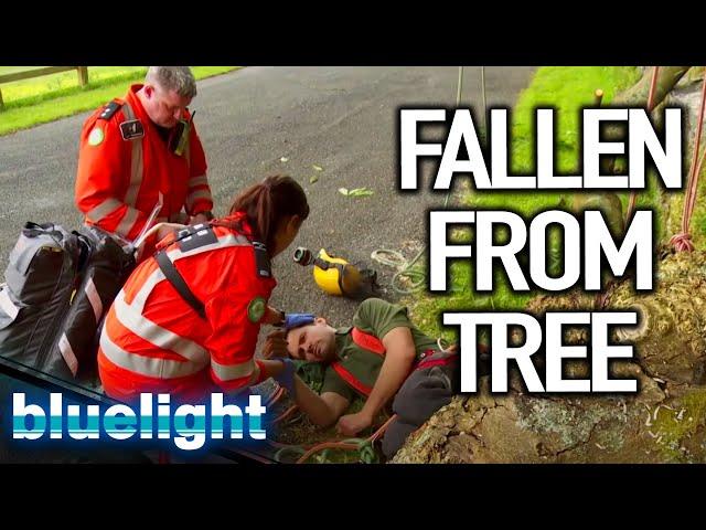 FALLEN from a TREE (Helicopter Rescue) | Air Ambulance ER | Blue Light: Police & Emergency