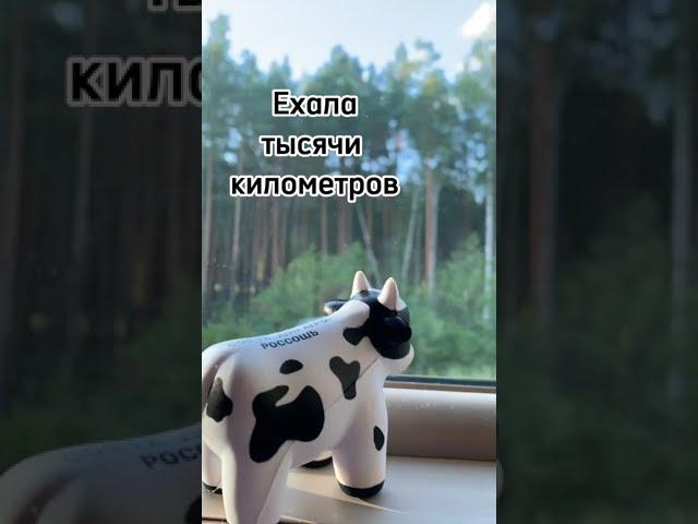 Путешествие в Йошкар-Олу на фест "Диво России"/A trip to Yoshkar-Ola for the Divo of Russia Festival