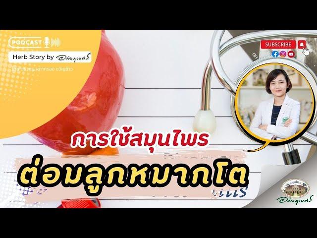 การใช้สมุนไพร รักษาต่อมลูกหมากโต l Podcast อภัยภูเบศร (2024)