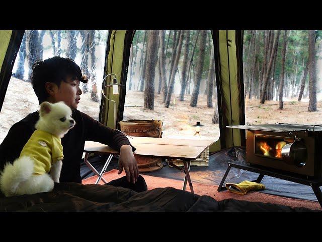 Camping vlog. A perfect day camping with a cute dog in a pine forest️. Wood stove ASMR