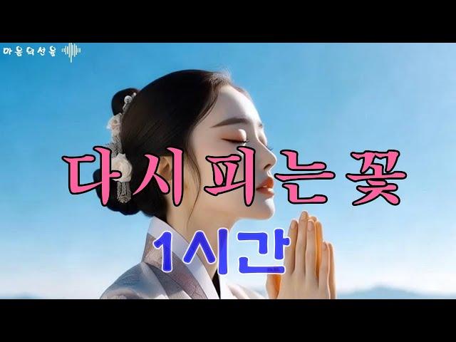 다시 피는 꽃 - 관음보살의 자비와 지혜로 피어나는 희망 - 1시간 #불교음악 #찬불가 #음성법공양 #트로트 #부처님 #지장보살 #염불