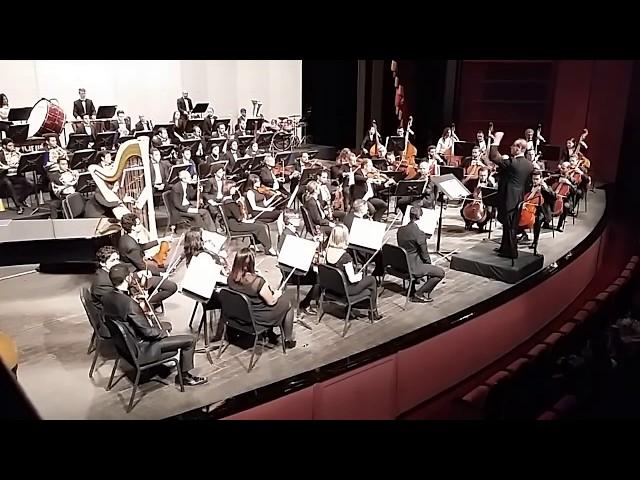 Nader Abbassi - The Young Person's Guide to the Orchestra