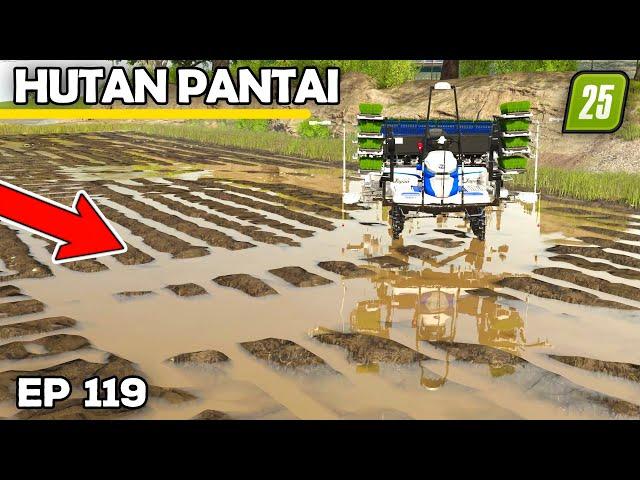 FLOODED FIELDS CAN MEAN ONLY ONE THING | Farming Simulator 25 - Hutan Pantai | Episode 119