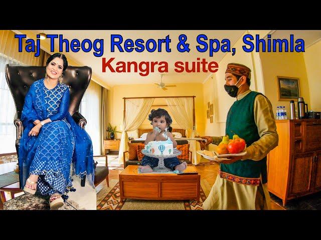 Taj Theog resort & Spa Shimla | Taj theog shimla | Shimla | Shimla vlog | Taj Theog Shimla tour