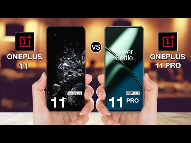 OnePlus 11 Vs OnePlus 11 Pro - Full Comparison #oneplus11vsoneplus11pro