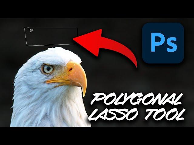 Photoshop Polygonal Lasso Tool Tutorial