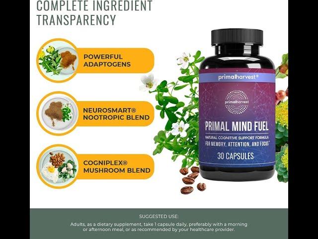 Primal Mind Fuel Brain Supplement by Primal Harvest,Brain Booster for Focus, Clarity, Memory Brain