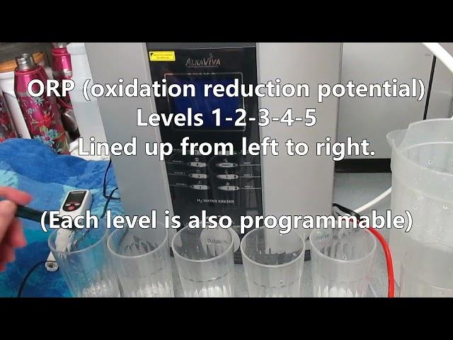 Installing & Testing the Delphi H2 Water Ionizer