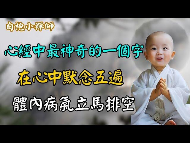 120歲高僧抖出佛家奧秘：《心經》中最神奇的1個字， 身體不好時在心中默念5遍，體內病氣立馬排空！ #佛教 #佛法 #阿弥陀佛 #南無阿彌陀佛 #菩薩 #佛學 #佛陀 #福報