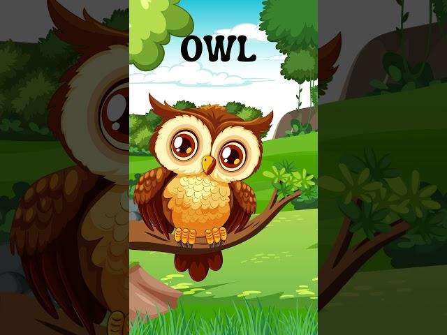 Amazing Animals for Kids:Fun Facts & Learning About Animals | Animals of the World - OWL