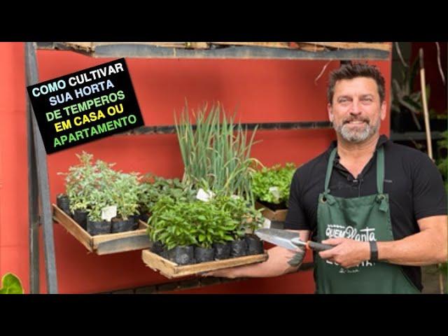 Como Cultivar Sua Horta de Temperos em Casa ou Apartamento