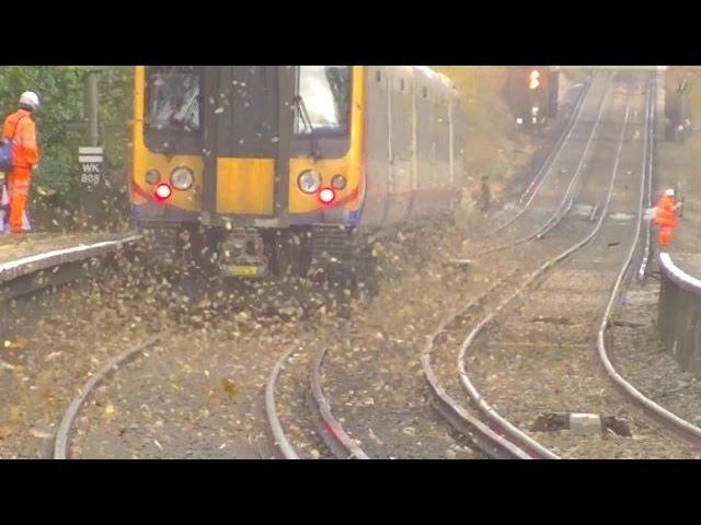 leaves on the line  5th Dec 2013